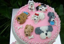 köpekli doğum günü pastası