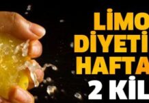 Limon Diyeti ile 1 Haftada 2 Kilo Verin Kesin Sonuç limon diyeti ile 2 kilo verme