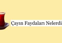 Çayın Faydaları Nelerdir?