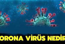 Corona (Korona) Virüsü Nedir? korona virüsü nedir