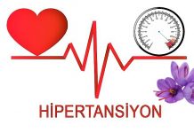 hipertansiyon safran bitkisi