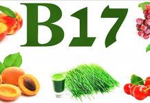 kanser tedavisinde b17 vitamini kullanımı