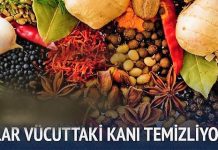kanı temizleyen besinler