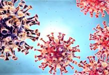 Korona Virüsü Nasıl Hastalık Yapıyor? korona virüsü nasıl hastalık yapar