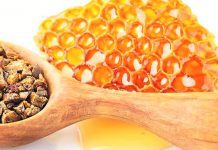 Propolisin Faydaları Nelerdir? Nasıl Kullanılır? propolis