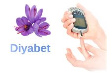 diyabet ve safran bitkisi