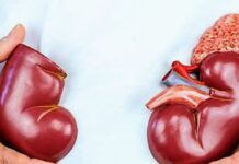 Böbrek Üstü Bezleri Nedir? böbrek üstü bezler