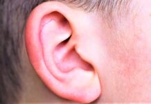 Kulak Nedir? Kulağın Yapısında Neler Var? kulağın yapısında neler var