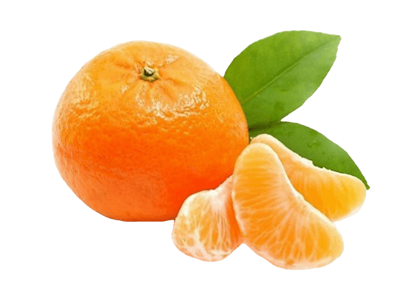 mandalina kalori