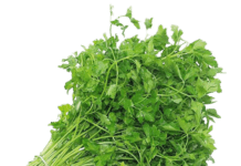 maydanoz kolari
