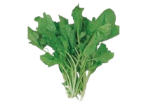tere kalorisi