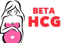 beta hcg