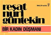 bir kadın düşmanı