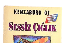 Sessiz Çığlık Kitap Özeti sessiz çığlık kitap özeti