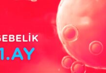 1.Ay Hamilelik 1 aylık gebelik