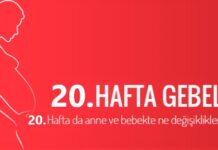 20 haftalık gebelik