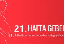 21 haftalık gebelik