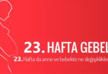 23 haftalık gebelik