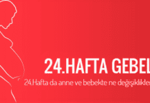 24 haftalık gebelik