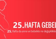 25 haftalık gebelik