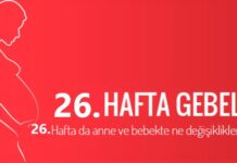 26 haftalık gebelik