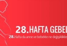 28 haftalık gebelik