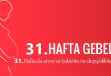 31 haftalık gebelik