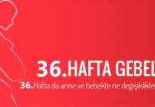 36 haftalık gebelik