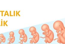9 Haftalık Gebelik 9 haftalık gebelik