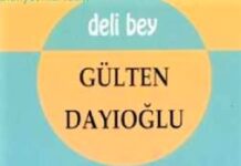 deli bey kitabı