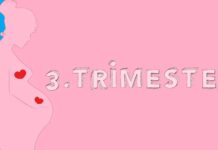 3. trimester