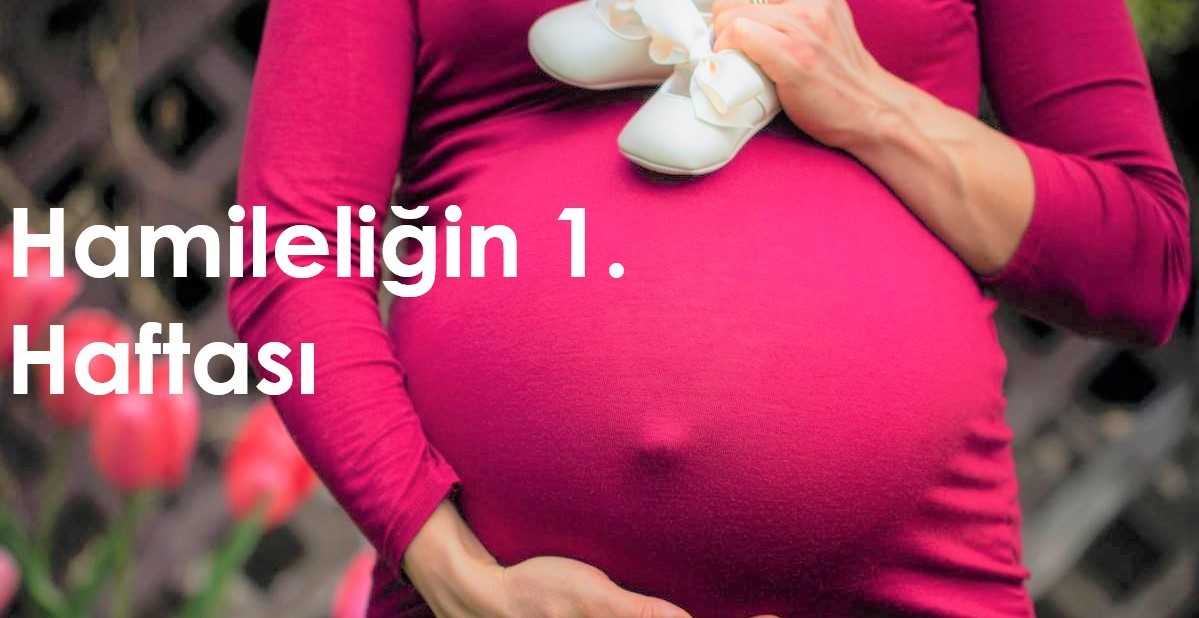 1 haftalık hamilelik