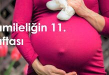 11 haftalık hamilelik