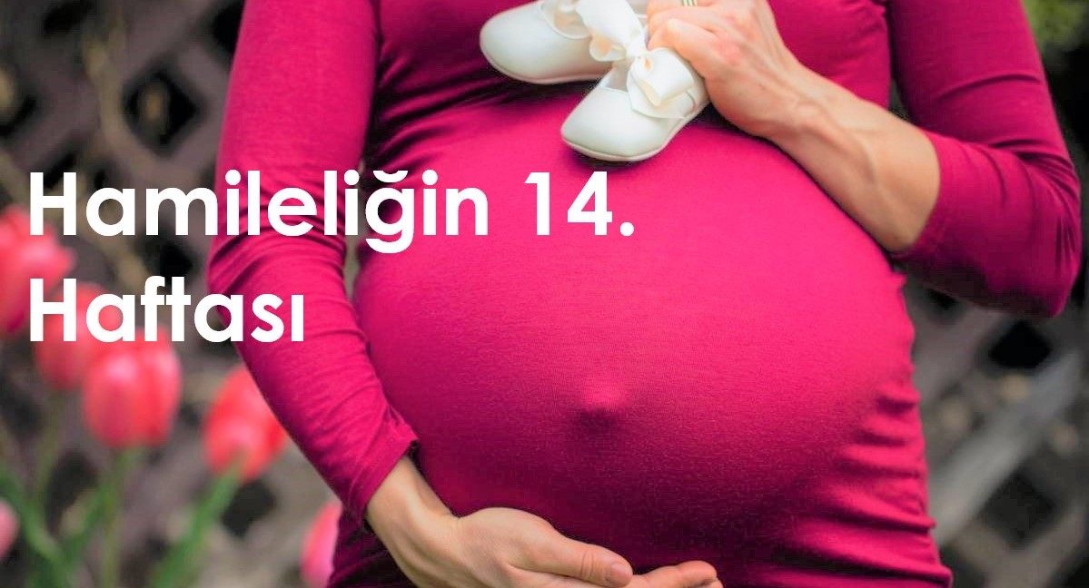 14 haftalık hamilelik