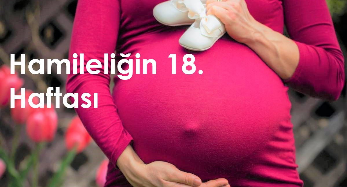 18 haftalık hamilelik