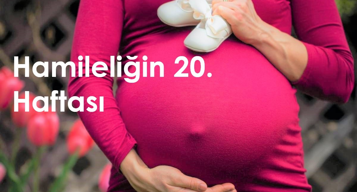 20 haftalık hamilelik