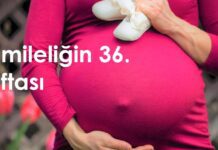 36 haftalık hamilelik