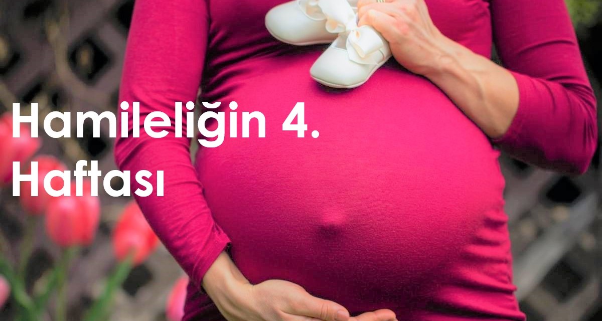 4 haftalık hamilelik