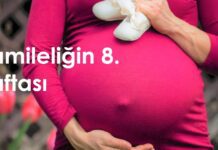 8 haftalık hamilelik