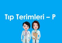 A’dan Z’ye Tıp Terimleri – P Harfi
