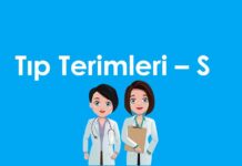 A’dan Z’ye Tıp Terimleri – S Harfi