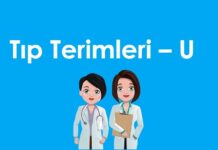 A’dan Z’ye Tıp Terimleri – U Harfi