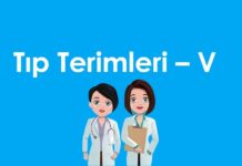 A’dan Z’ye Tıp Terimleri – V Harfi