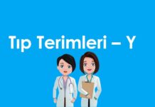 A’dan Z’ye Tıp Terimleri – Y Harfi