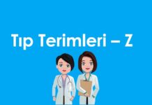 A’dan Z’ye Tıp Terimleri – Z Harfi