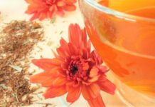 rooibos